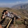 Hatif Jawshanpoor profil fotoğrafı