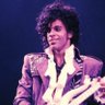 Purple Prince 🇵🇸 🇵🇸 🇵🇸's profile picture