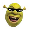 Shrekt's profile picture
