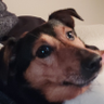 Davy's profile picture
