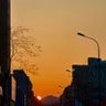 Фото профиля Wff