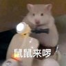 jxyAliek 的头像