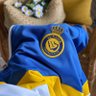 Profilbild von النشمي العالمي💛💛💛💙💙💙