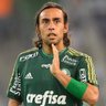 . 🏴☠️ FORA ABEL's profile picture