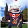 Profilbild von NAFO Fella Sally 🇨🇦🇬🇧🇺🇦