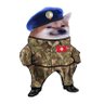 AdenFella's profile picture