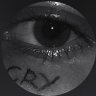 Paco Pinazo Guna's profile picture