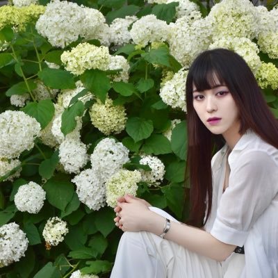 nippi1011's profile picture