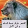 مازن احمد's profile picture