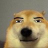 JayXsXd's profile picture