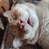 willson profil fotoğrafı