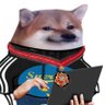 Danїєl Fєllapïan's profile picture