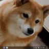 ふがっち 的头像