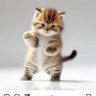 プー吉 profil fotoğrafı