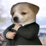 Alan 的头像