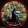 صحرا 的头像