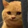 Фото профиля தமிழ் பூனை🐱