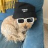 liam's profile picture