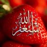 Mansour's profile picture