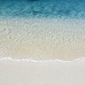 Фото профиля John wong