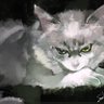 Profilbild von りる