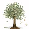 cointrees (football hater) 的头像