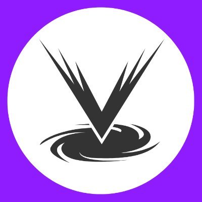 Void Gaming's profile picture
