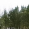 Фото профиля HaHaZe