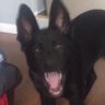 Taskmaster Tactics's profile picture