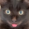 LOD's profile picture