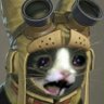 Zanzaken's profile picture