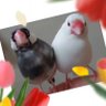 𝕪𝕦𝕦𝕜𝕠🌼*゚〜be happy everyone🍀〜's profile picture