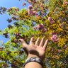 chen profil fotoğrafı