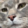 Bright Lord Jehff's profile picture
