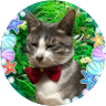 Profilbild von 朝陽(あさひ)