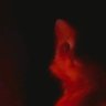Profilbild von ggis_