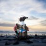 Profilbild von Penguinfella