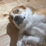 ky profil fotoğrafı