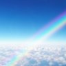 Фото профиля rainbowsh61_れいんぼ
