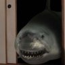 Profilbild von どんく=じこもん
