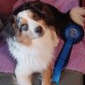 ZoeRoberts's profile picture