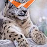 Adam C. profil fotoğrafı