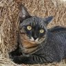 . profil fotoğrafı