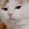 Profilbild von 핑뮬