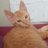 Fridacale's profile picture