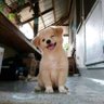 Babu's profile picture