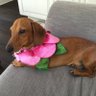 L R.'s profile picture