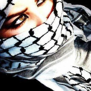 5gkmnjk's profile picture