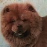 Profilbild von Joycele 🗣🗣🗣