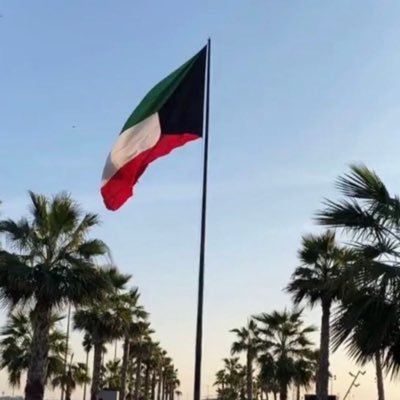 bo_nasserQk's profile picture